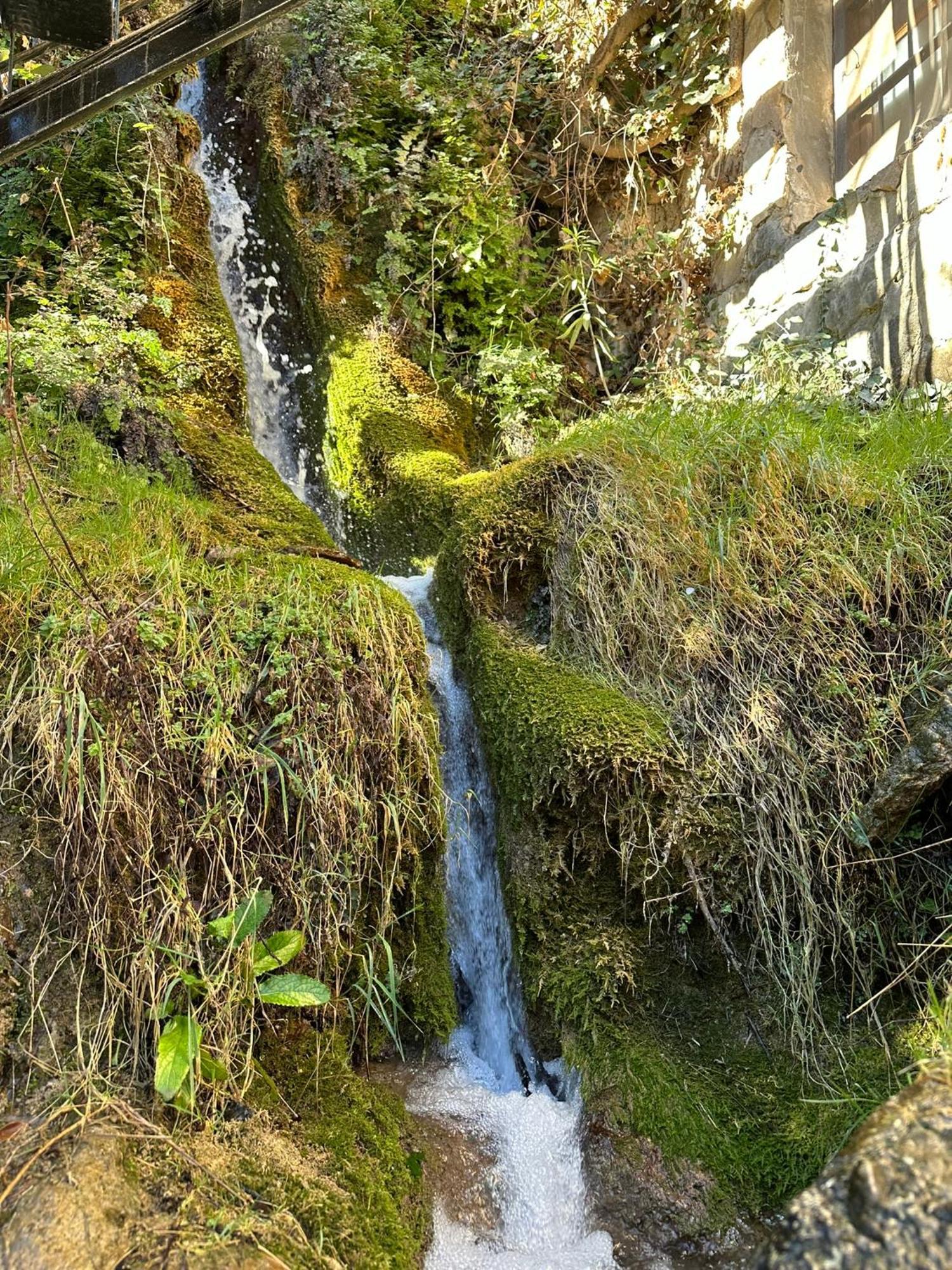 Alojamientos La Tercia Benizar Buitenkant foto